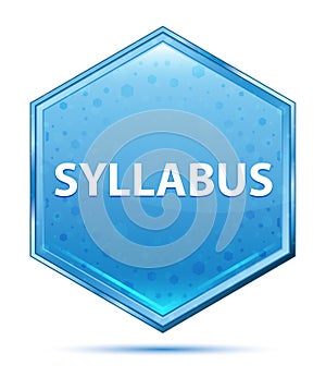 Syllabus crystal blue hexagon button photo