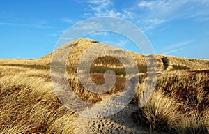 Sylt dune photo