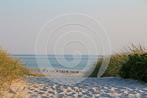 Sylt - The most beautiful island of Germany