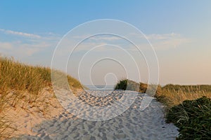 Sylt - The most beautiful island of Germany