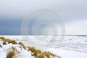 Sylt in winter photo