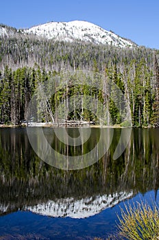 Sylvan Lake, Yellowstone National Park, USA