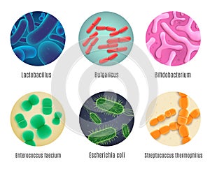 Symbiotic Human Bacteria Realistic Vector Set photo