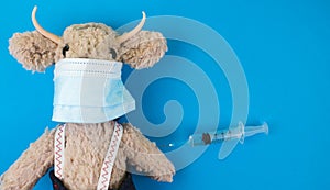 symbol of 2021 year toy ox with face mask and vial dose of vaccine or another medicine with syringe on blue background with copy