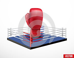 Symbol of a boxing and prize ring