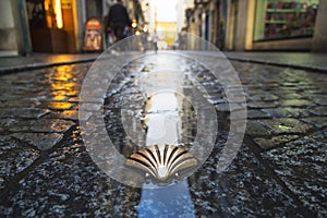 Symbol of the camino de santiago