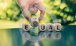 Symbol for equal rights. Cubes form the word `equal`.