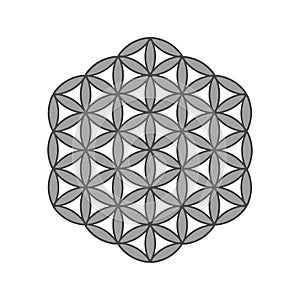 Symbol Flower of life. The flower of life is a symbol of sacred geometry