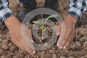 Symbol heart earth day. Handful of dirt hands heart shape. Farm organic earth. Farmer hands soil ground earth dirt garden soil