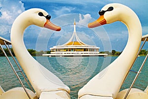 Symbol heart and love of swan boat