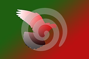 Symbol of holiday ramadan dove