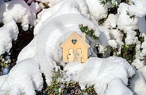 symbol of the house stands on a snow-covered fir