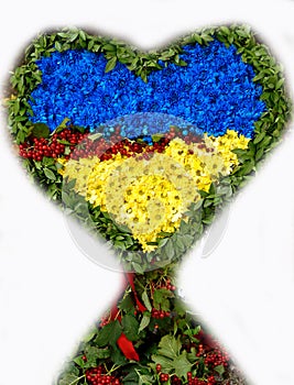 Symbol of love - heart in the colors of the national flag of Ukr