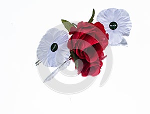 White poppy remembrance  day