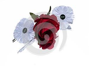 white poppy Ruby red rose remembrance  day