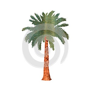 Symbol sign beach palm silhouette a watercolor