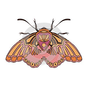 symbol solar original orange and pink moth butterfly,