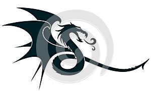 A Dragon Symbol.