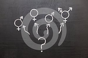 A symbol of transgender and female and male gender symbols on a chalkboard. Question mark. Freedom of choice