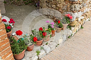 The symbol of the Via Francigena in the village of Monteriggioni. photo