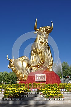 Symbol of yak