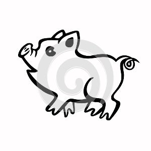 Symbol of the year of the pig, piglet, line and vector illustration
