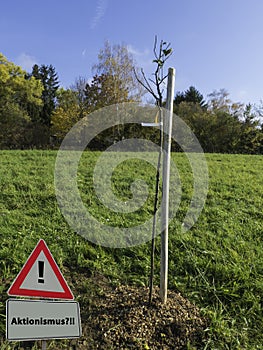 Sign actionism in front of newly planted tree seedling photo