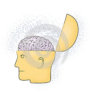 Symbolic drawing of the head with the brain