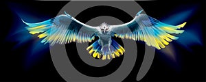 Symbolic Eagle in the colors of Ukraine