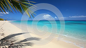 Symbolic palms luxurious beach relaxation for aesthetes seeking a lavish lifestyle