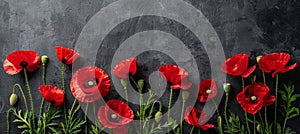 Symbolic red poppies commemorative flowers on dark background for remembrance day and anzac day