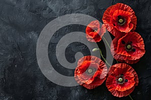 Symbolic red poppies stylized flowers on black background for remembrance day and anzac day