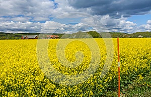 Symbolic Swedish field