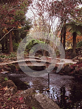 Symbolisms in a garden with two walking board planks and a fountain