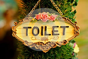 Symbolize toilets on wood background