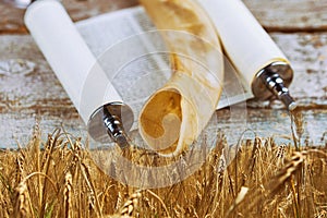 Symbols of jewish holiday Shavuot torah and shofar wooden background