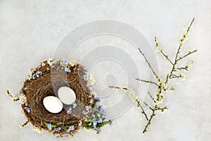 Symbols of Spring with Nest and Blossom