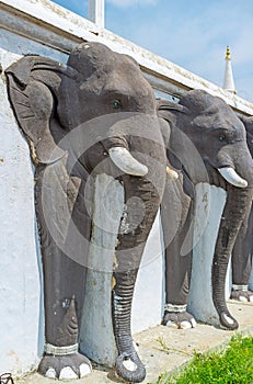 The symbols of Sri Lanka photo