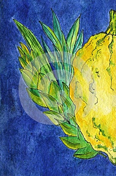 Symbols of Sukkot, Feast of Tabernacles or Feast of the Ingathering. Willow branches, etrog, myrtle. Blue background