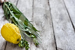 Symbols of Sukkot photo