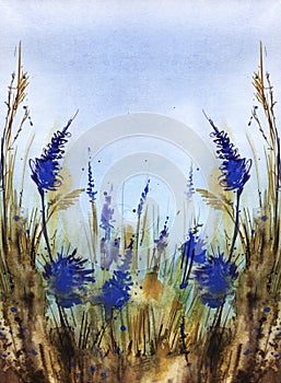 Symmetric watercolor background. Field grass. Stalks and ears of dry grass against. Bright blue flowers. Natural buffy-earth