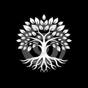 Symmetrical Banyan The