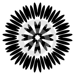 Symmetrical black aster. Circular pattern. vector illustration.