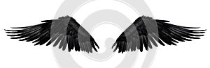 Symmetrical Black Bird Wings Isolated on White