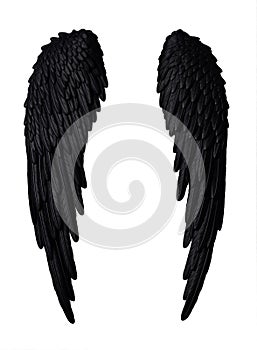 Symmetrical Black Bird Wings Isolated on White