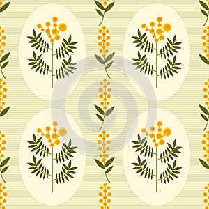 Symmetrical floral vector seamless pattern. Stylized yellow Mimosa flowers and leaves on green background. Australian