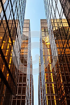 Symmetrical glass skyscrapers reflecting sunlight in Hong Kong