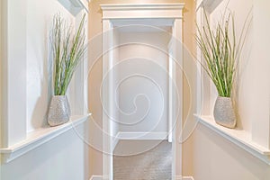 Symmetrical hallway with white cased opening and plants