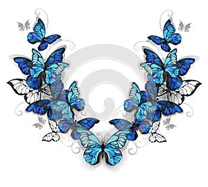 Symmetrical pattern of butterflies morpho photo