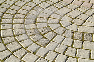 Symmetrical pattern of sidewalk tile with green moss .Grey pavement stone texture